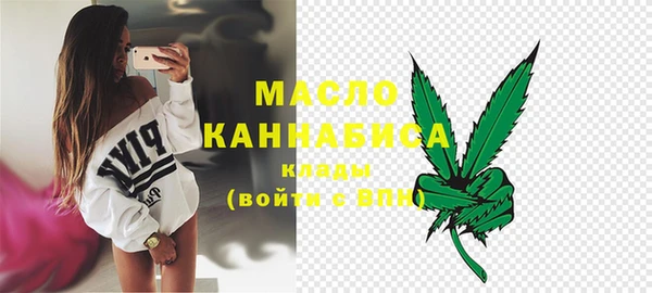 индика Абинск