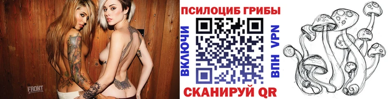 Галлюциногенные грибы Cubensis  Талдом 